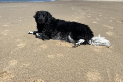 97550e8b-ec09-42a5-aaf1-7754f617318e